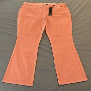 DG2 Diane Gilman Stretch Velvet Jeans‎ Womens 22PW Pink Frost High Rise Bootcut